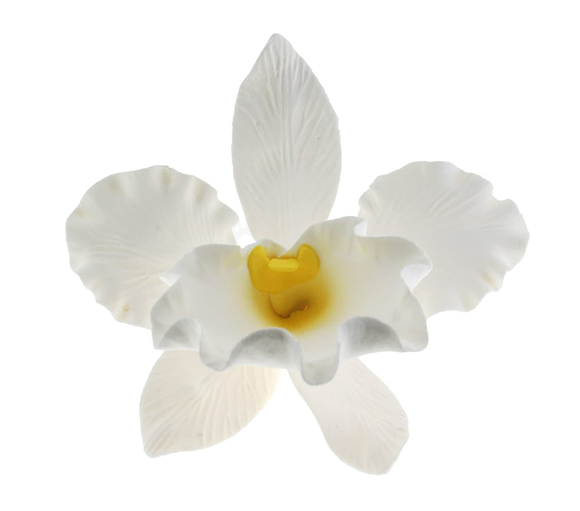 Orchid Sugar Cake Flowers, Cattleya Orchid, by Global Sugar Art, Large, White, 1 Count