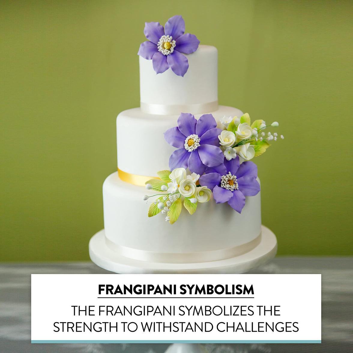 Tropical Cake Topper Frangipani Spray Gum Paste Flower by Global Sugar Art, Small