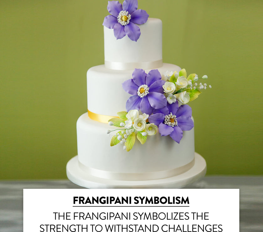 Tropical Cake Topper Frangipani Spray Gum Paste Flower by Global Sugar Art, Small