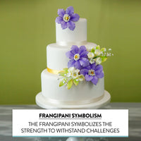 Tropical Cake Topper Frangipani Spray Gum Paste Flower by Global Sugar Art, Small