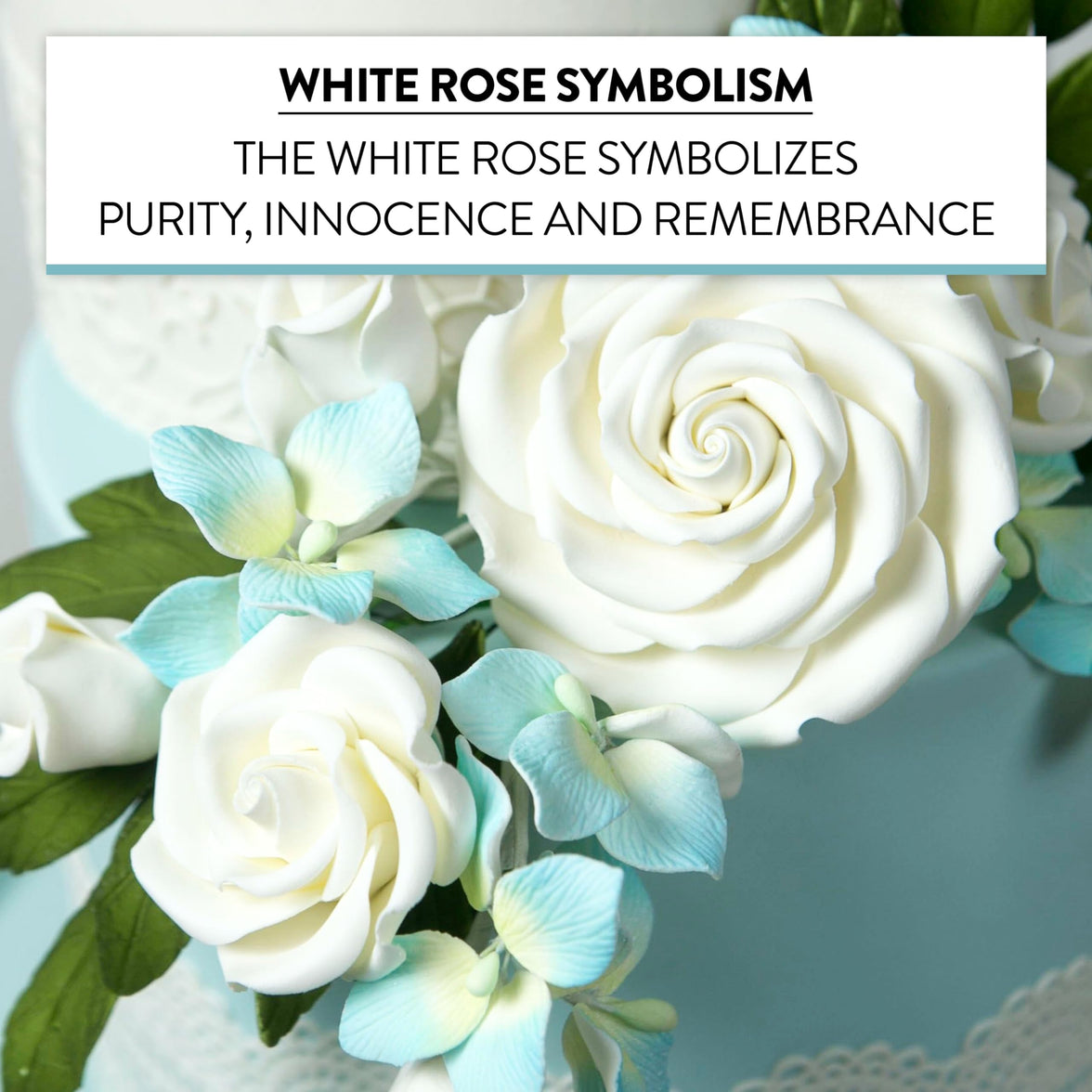 Rebecca Roses, Gum Paste Flowers for Cakes, by Global Sugar Art, White, Medium