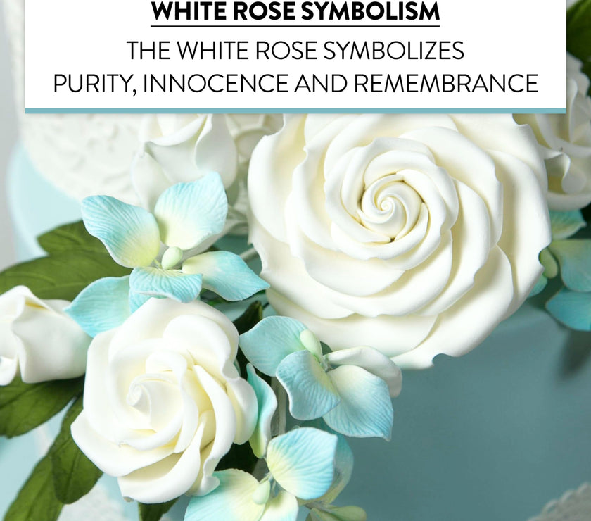Rebecca Roses, Gum Paste Flowers for Cakes, by Global Sugar Art, White, Medium
