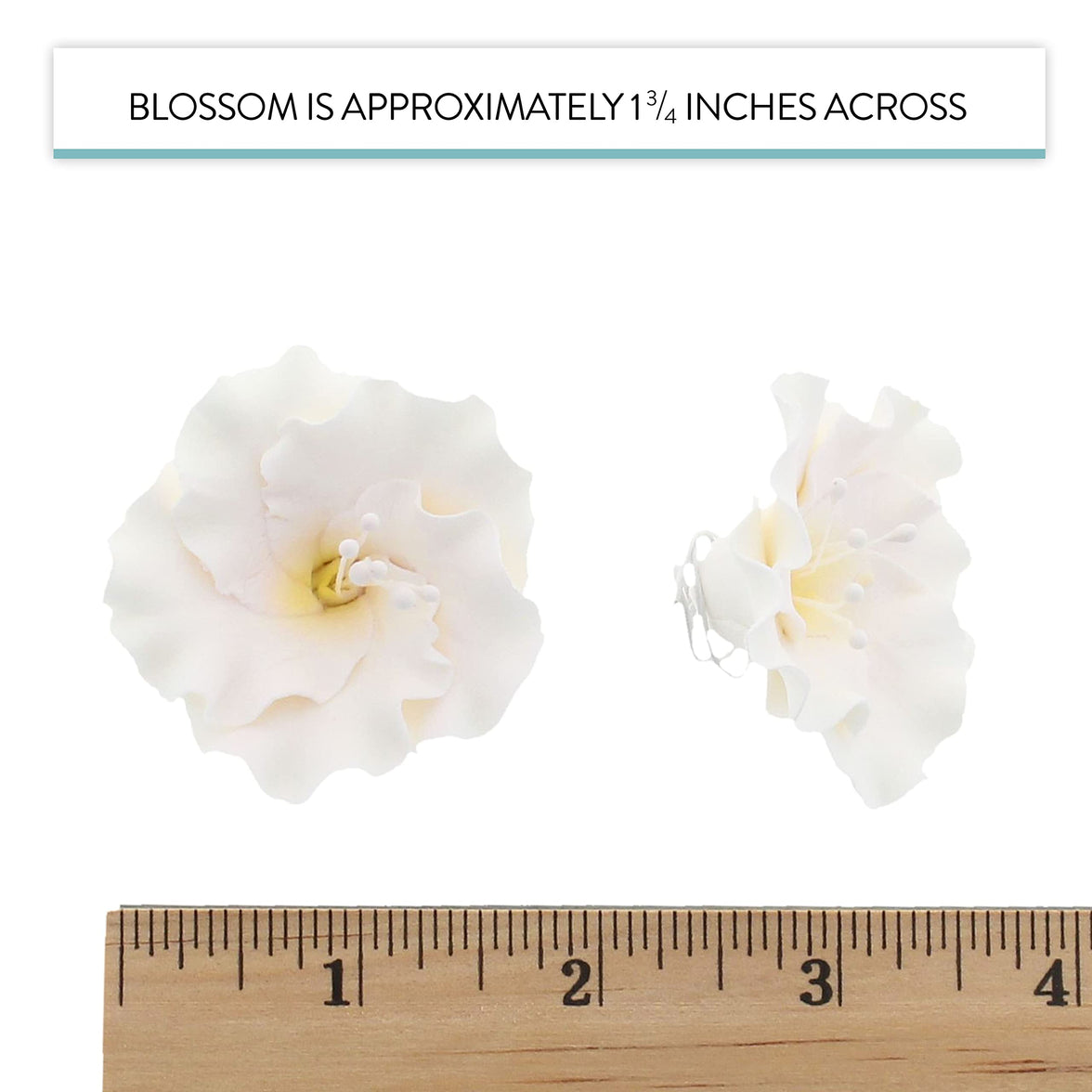 Azalea Sugar Flowers for Cake Decorating, by Global Sugar Art, White