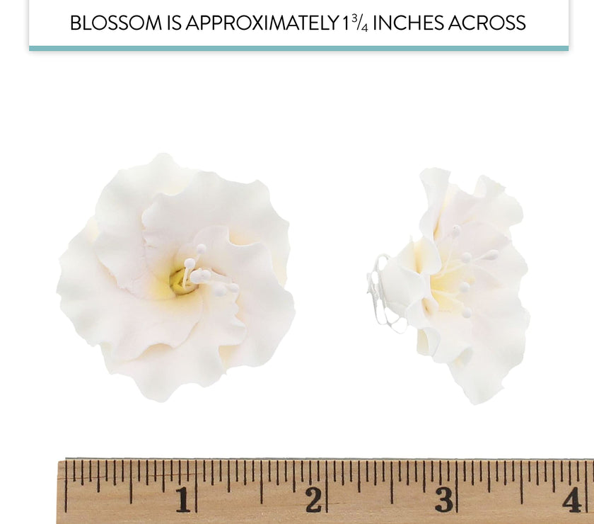 Azalea Sugar Flowers for Cake Decorating, by Global Sugar Art, White
