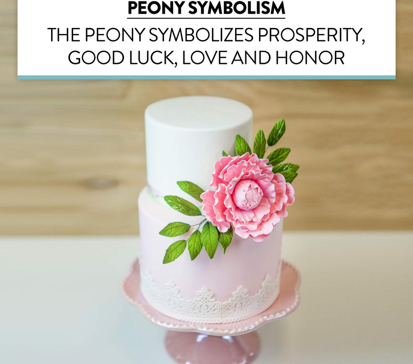Premium Peony Sugar Flower by Global Sugar Art, Pink