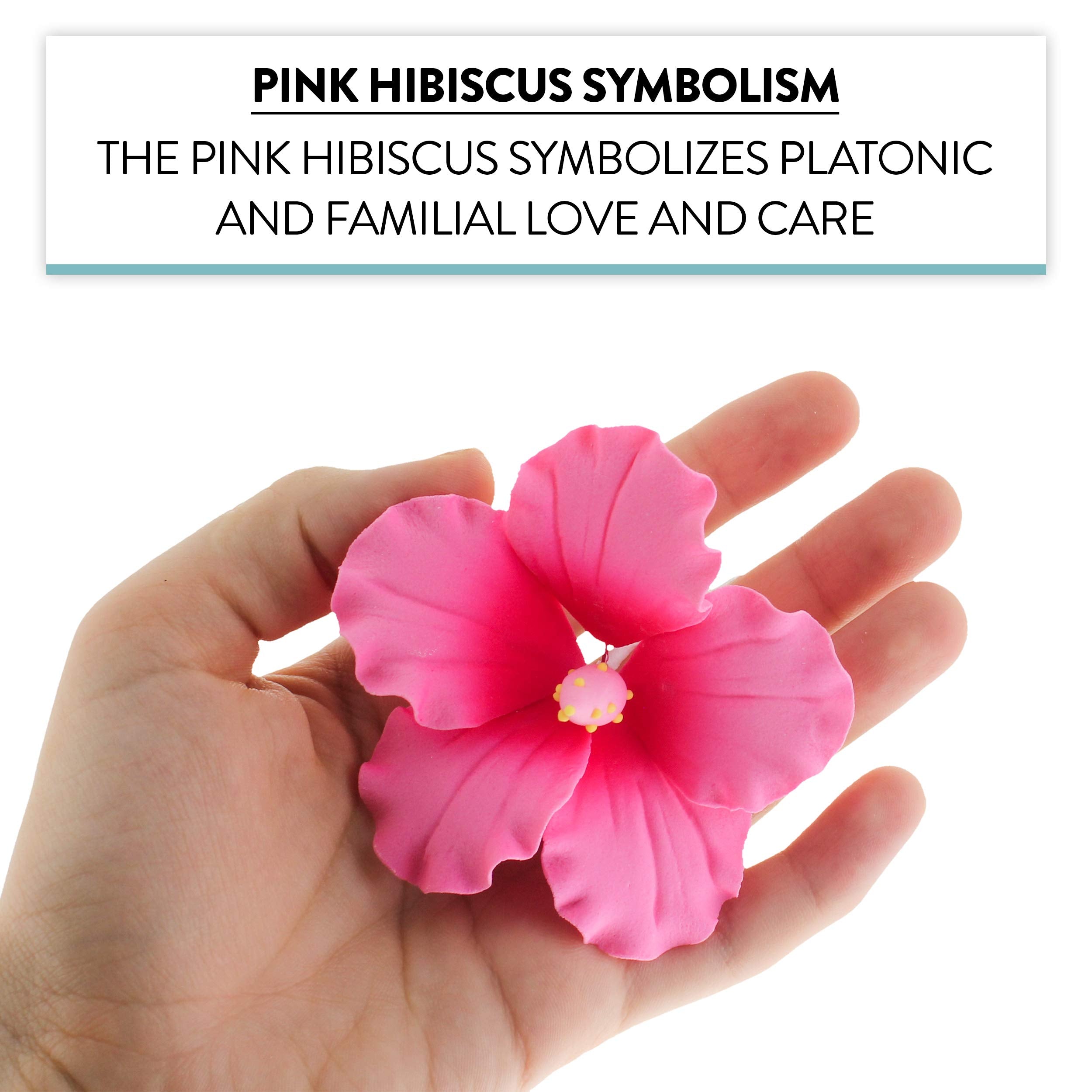 Hibiscus Sugar Cake Flowers, Pink Tropical Sugar Flowers, by Global Sugar Art