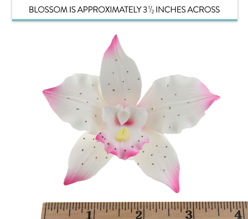 Orchid Sugar Cake Flowers, Brassavola Style Orchids, by Global Sugar Art, 3 Count, Pink