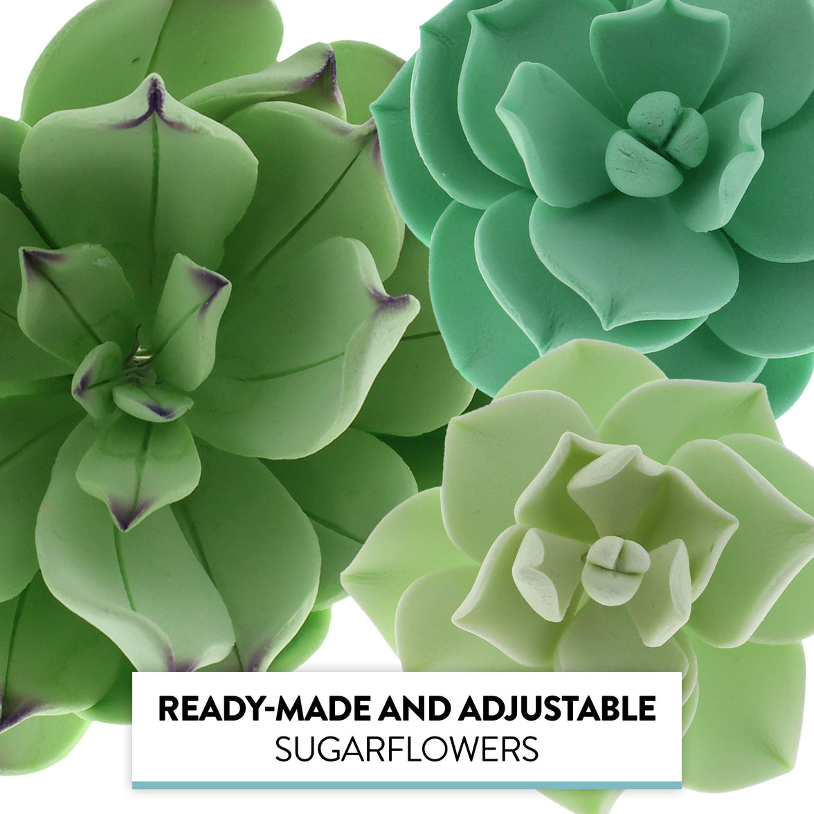 Global Sugar Art Succulents Sugar Cake Flowers, Garden Variety, by Chef Alan Tetreault