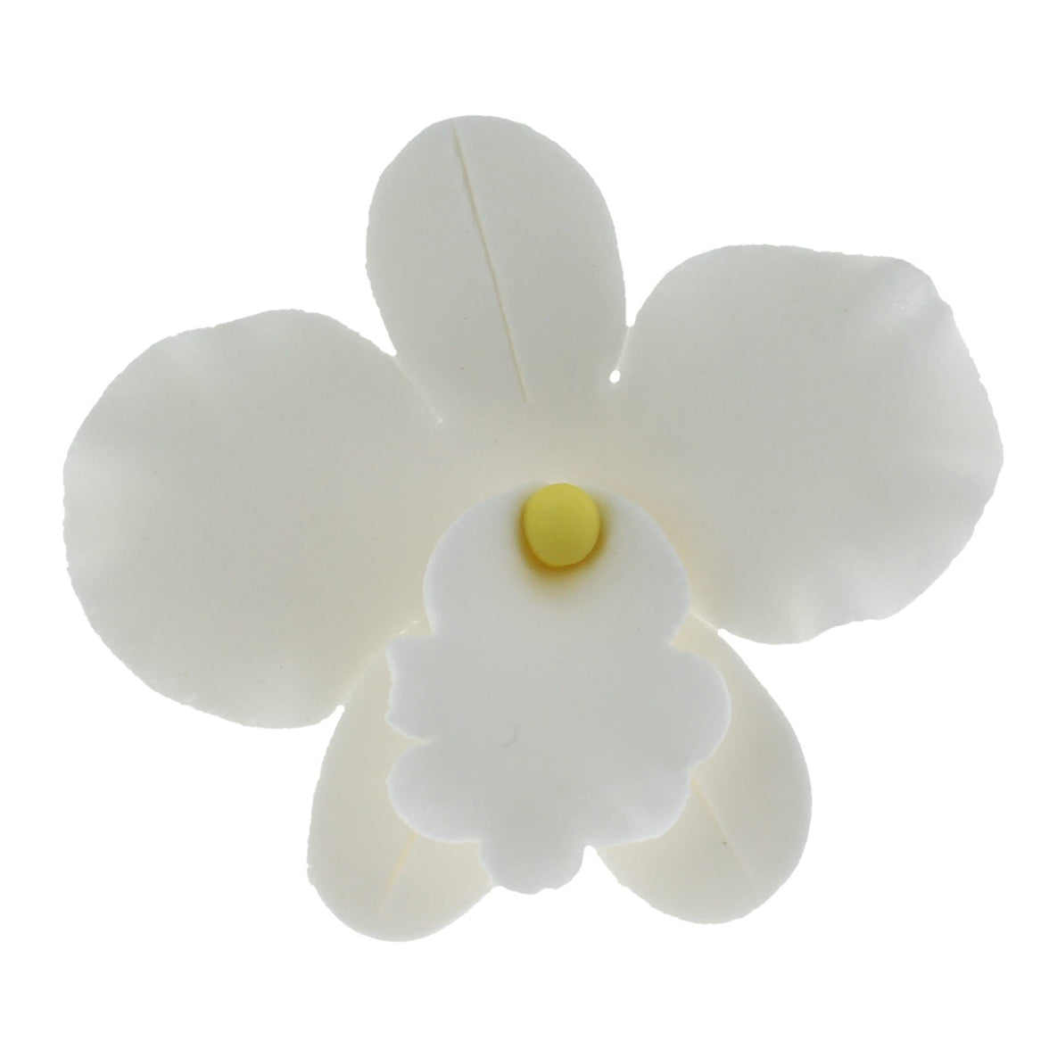 Orchid Sugar Cake Flowers, African Orchids, by Global Sugar Art, White, 6 Count