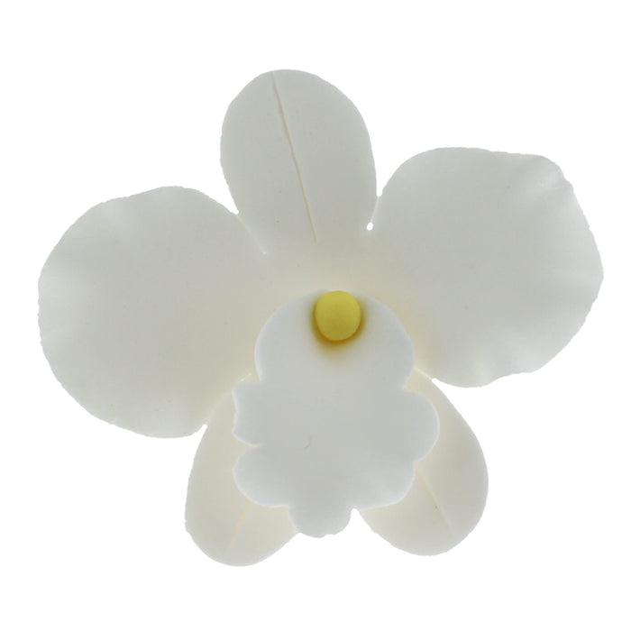 Orchid Sugar Cake Flowers, African Orchids, by Global Sugar Art, White, 6 Count