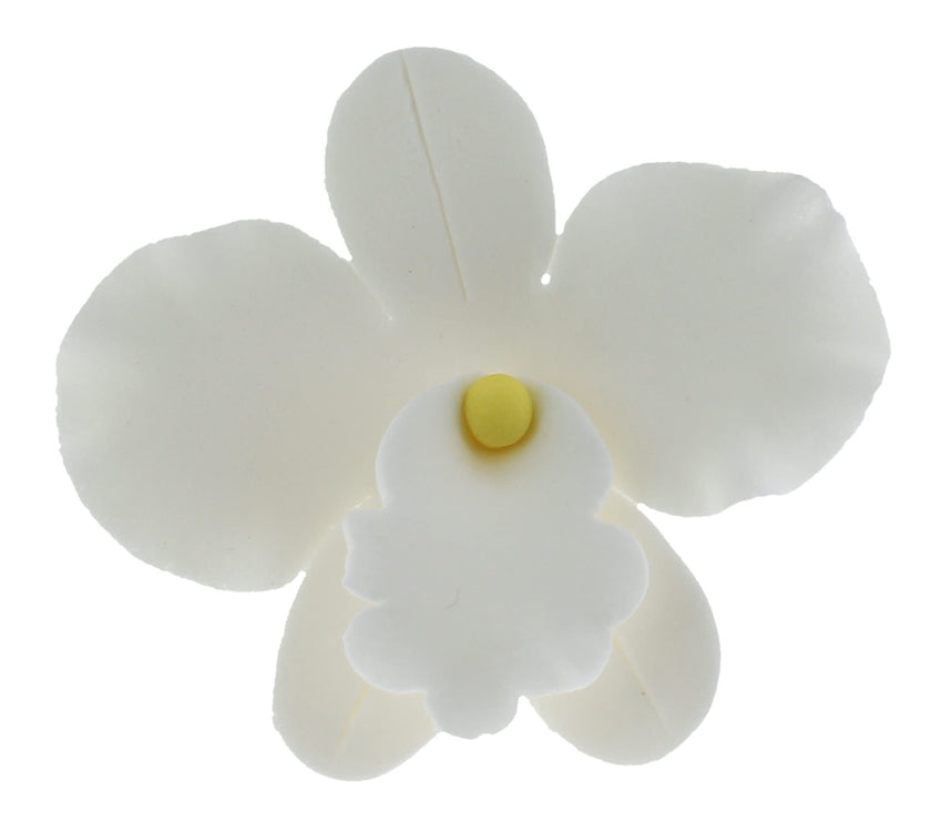 Orchid Sugar Cake Flowers, African Orchids, by Global Sugar Art, White, 6 Count