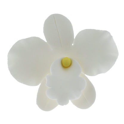 White African Orchids, Small, 6 Count