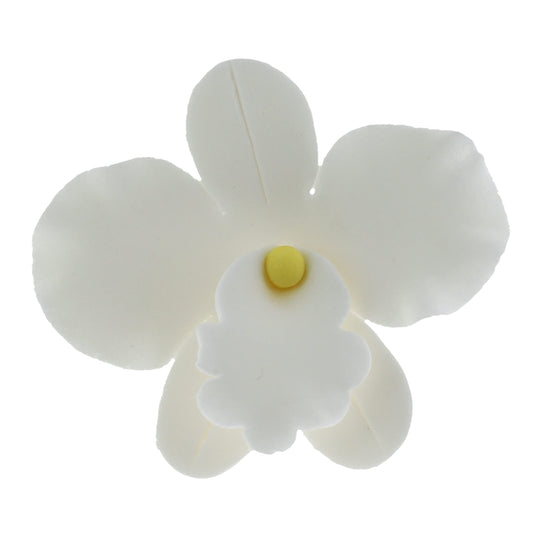 White African Orchids, Small, 6 Count