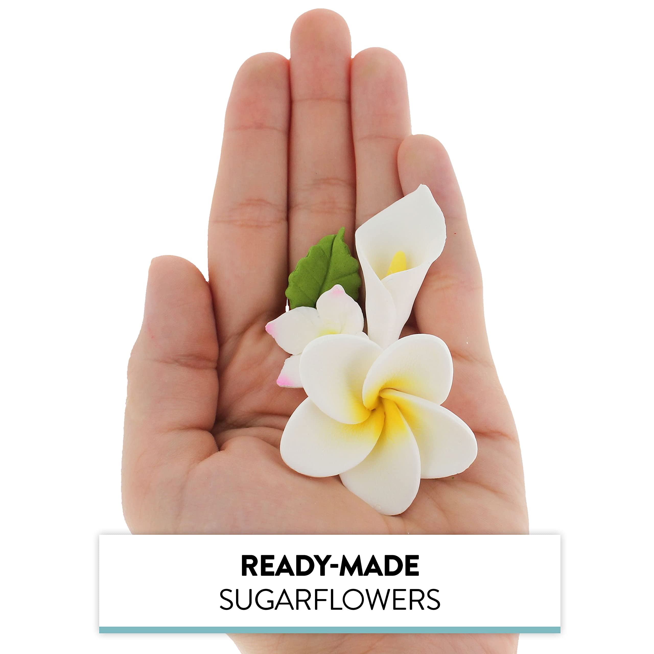 Tropical Flower Kit with Leaves, Gum Paste Frangipani Plumeria Cake Flowers, 36 Count Set, by Global Sugar Art