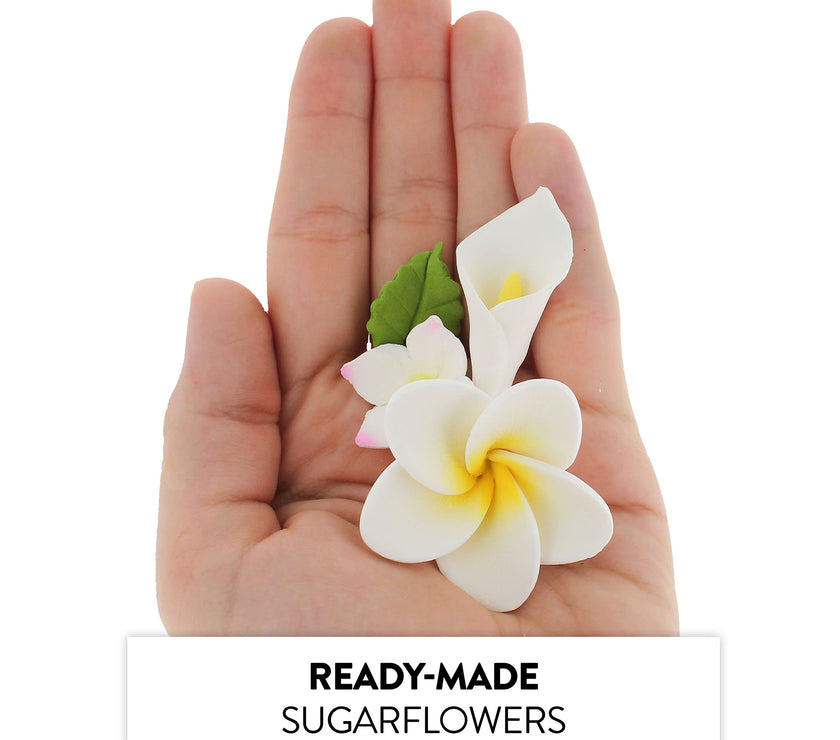 Tropical Flower Kit with Leaves, Gum Paste Frangipani Plumeria Cake Flowers, 36 Count Set, by Global Sugar Art