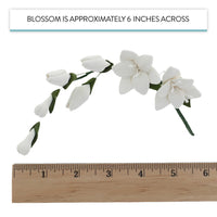 Freesia Sugar Cake Flower Filler Spray, by Global Sugar Art, White, 3 Count