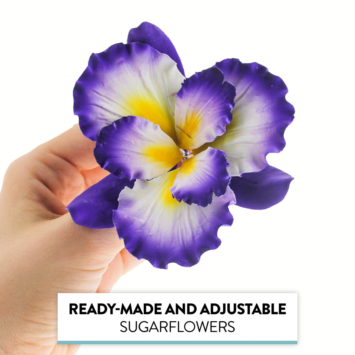 Dutch Iris Sugar Cake Flower, Cake Topper by Global Sugar Art, Purple