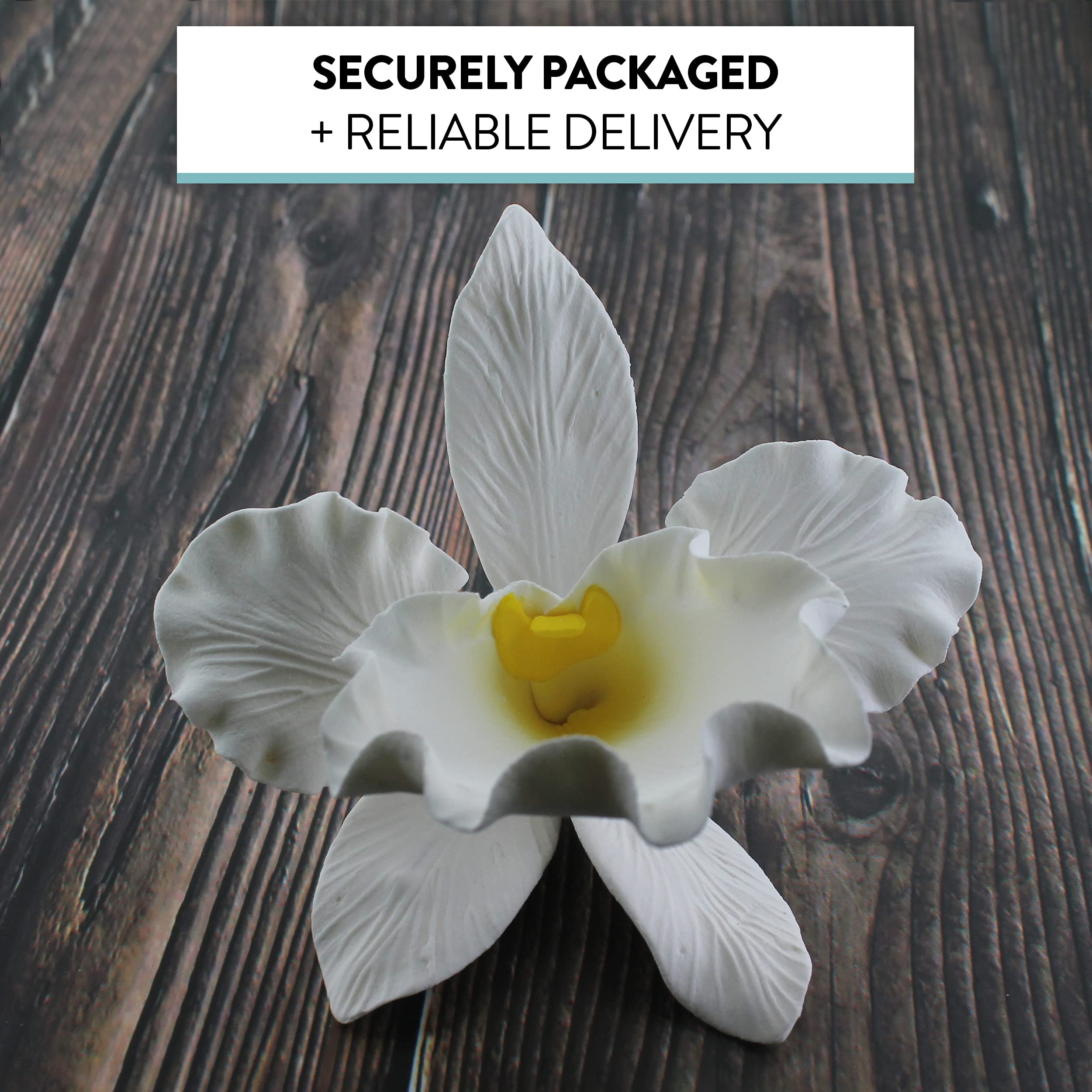 Orchid Sugar Cake Flowers, Cattleya Orchid, by Global Sugar Art, Large, White, 1 Count