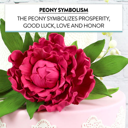 Magenta Peony, Closed, Jumbo Bloom