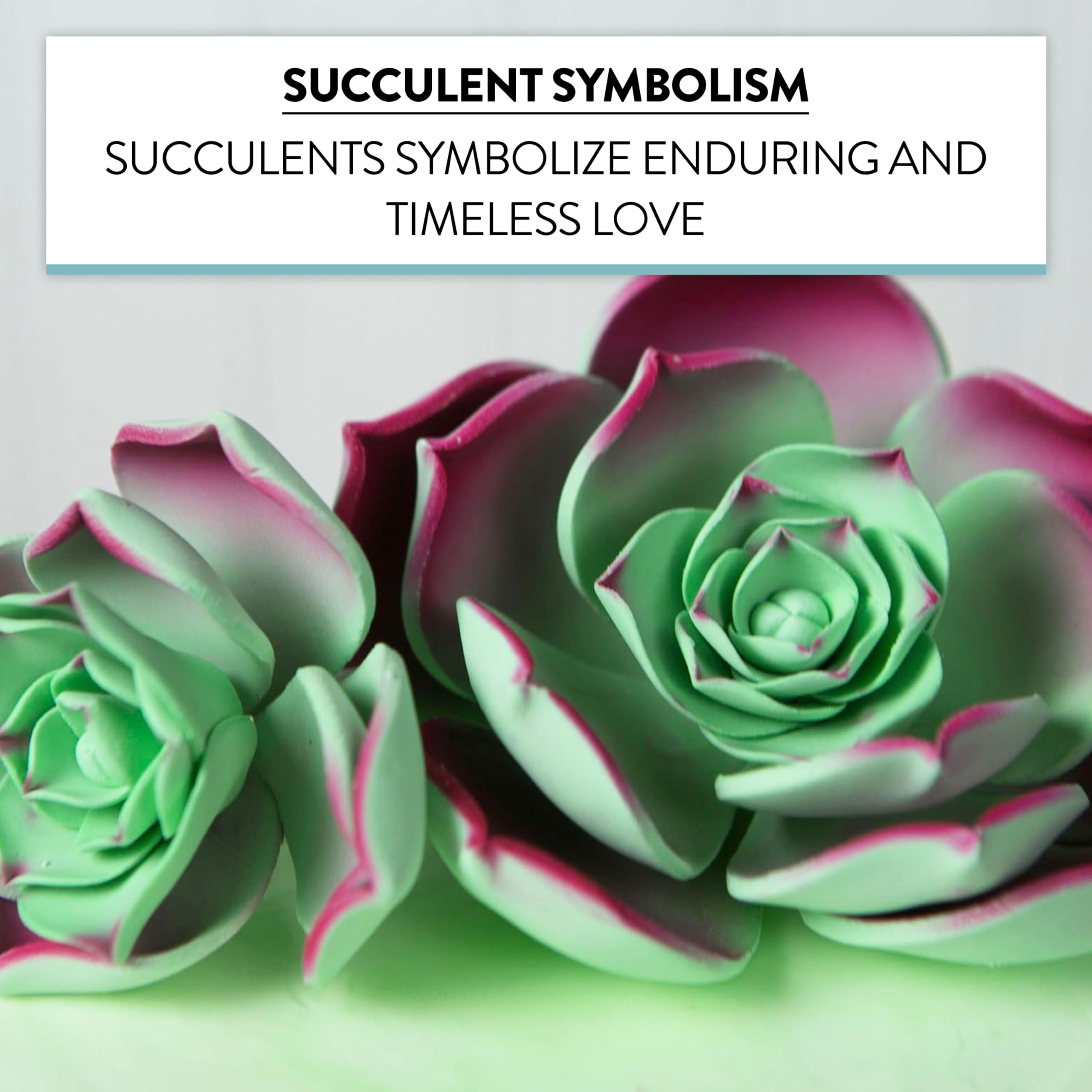 Global Sugar Art Succulent Taurus Sugar Cake Flowers Assortment with Wire, 3 Count by Chef Alan Tetreault