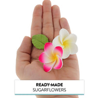 Frangipani with Leaves Gum Paste Cake Flowers 24 Count Sugar Flowers by Global Sugar Art