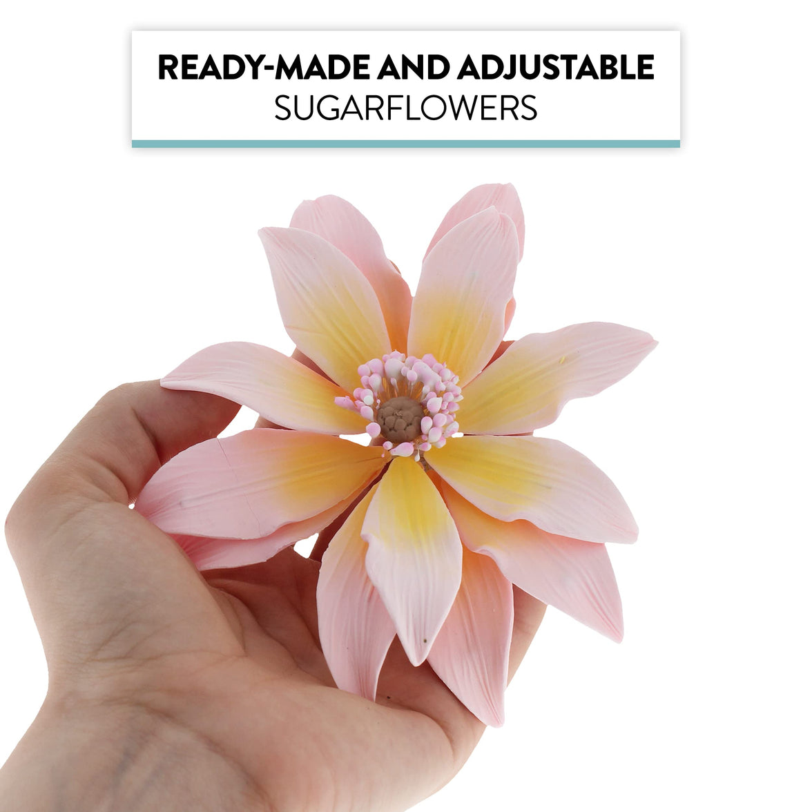 Tranquil Water Flowers, Decorative Sugar Cake Flowers by Global Sugar Art, 3 Count, Pink