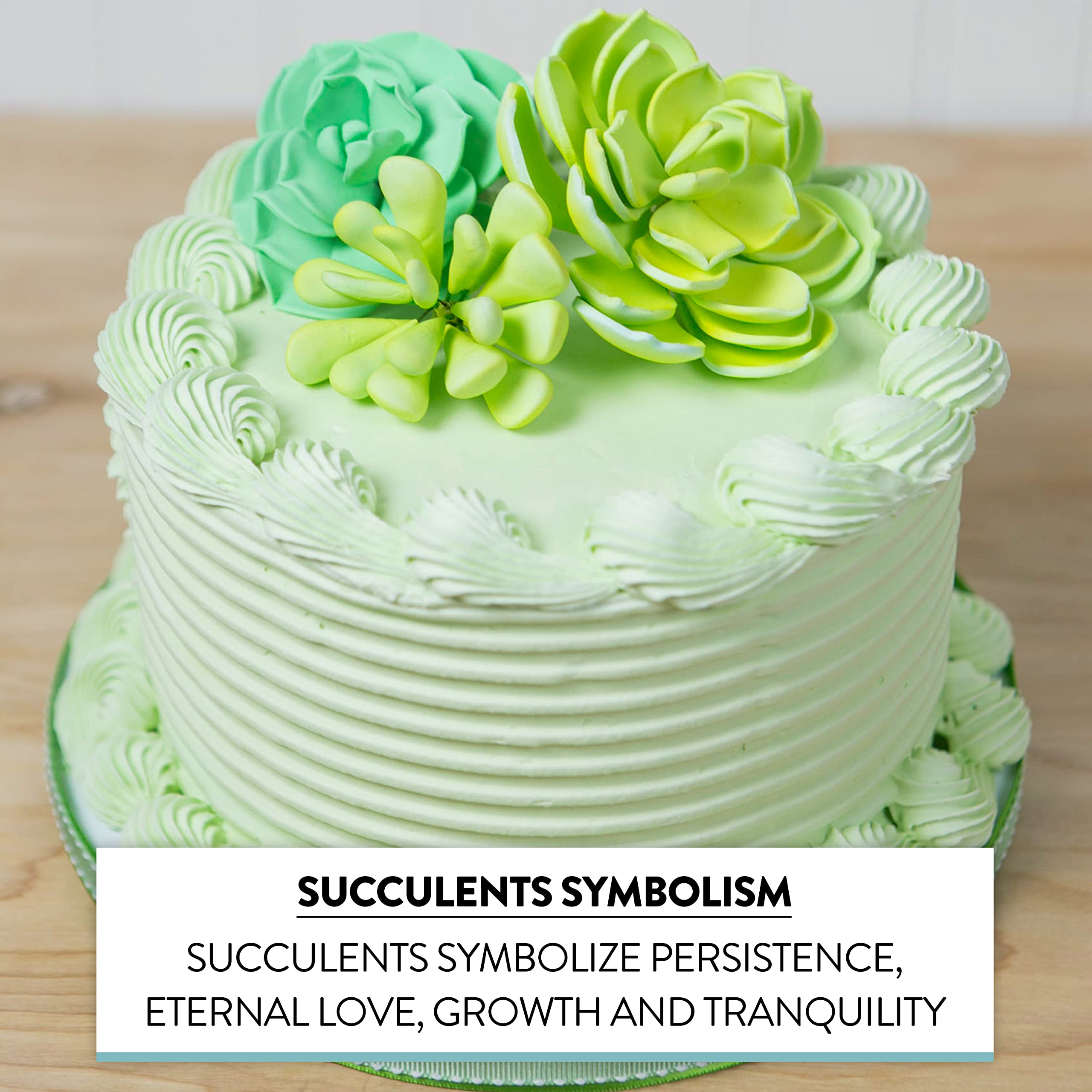 Global Sugar Art Succulent Vibrant Mixed Assortment Sugar Cake Flowers, 3 Count by Chef Alan Tetreault