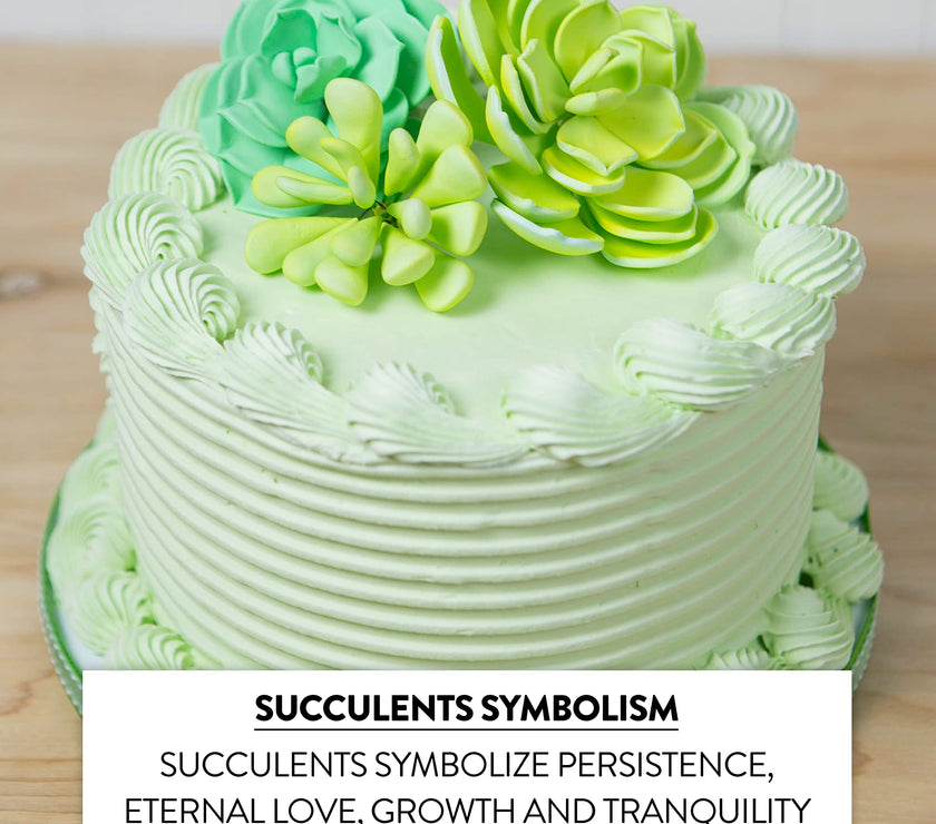 Global Sugar Art Succulent Vibrant Mixed Assortment Sugar Cake Flowers, 3 Count by Chef Alan Tetreault