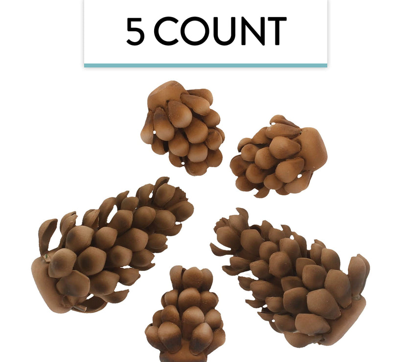 Global Sugar Art Pinecone Assortment Sugar Cake Flowers, 5 Count by Chef Alan Tetreault