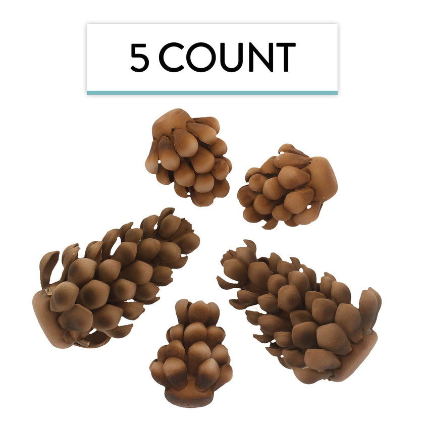 Global Sugar Art Pinecone Assortment Sugar Cake Flowers, 5 Count by Chef Alan Tetreault