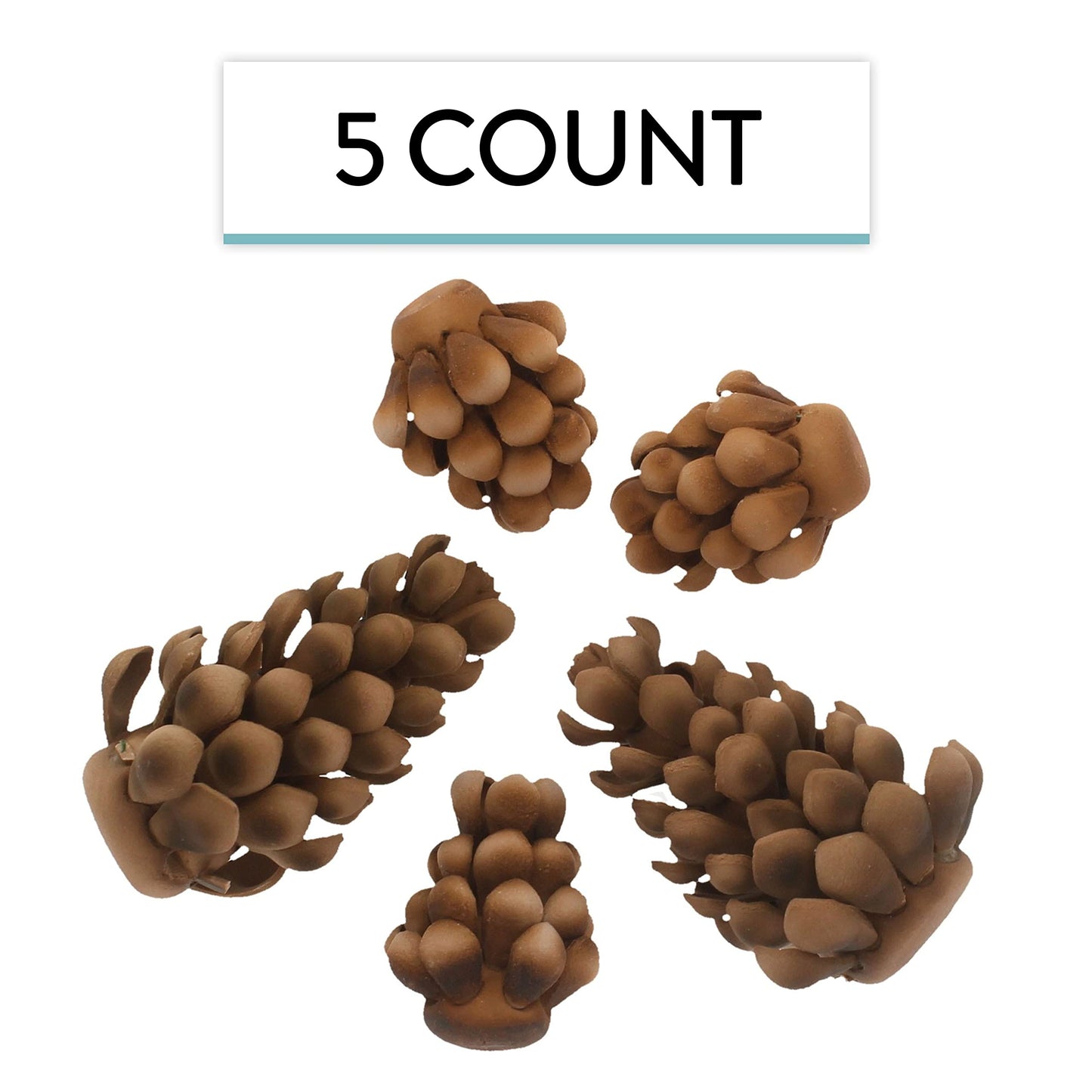 Pinecone, Assorted Sizes, 5 Count