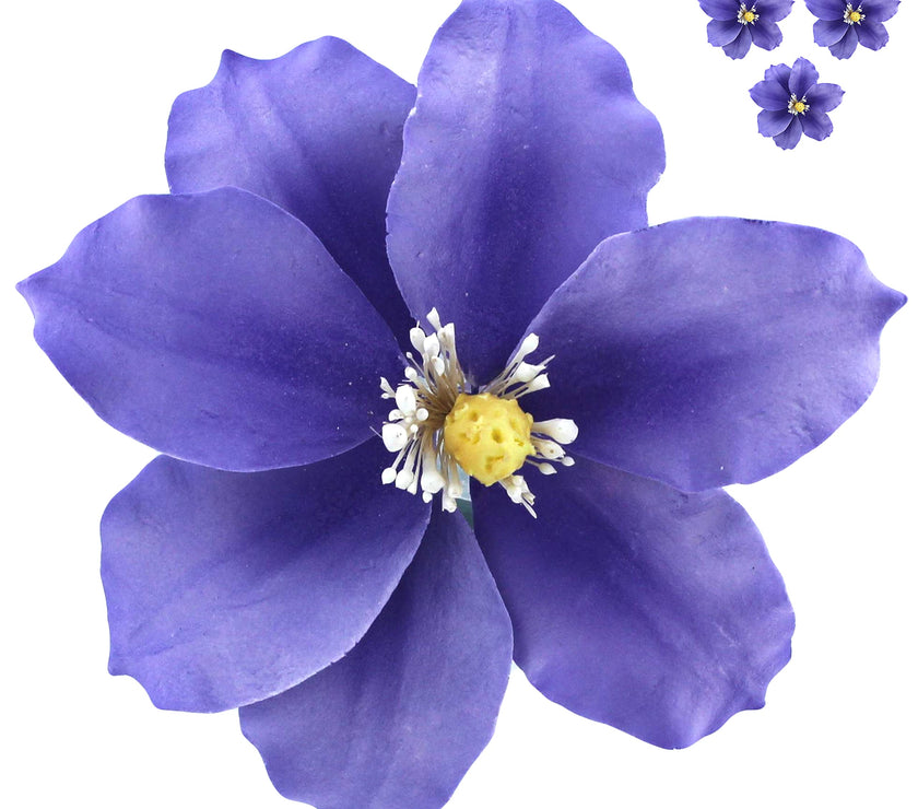 Clematis Gum Paste Sugar Cake Flowers by Global Sugar Art, Purple, 3 Count