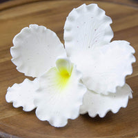 Orchid Sugar Cake Flowers, Cattleya Orchids, by Global Sugar Art, Large, White, 3 Count