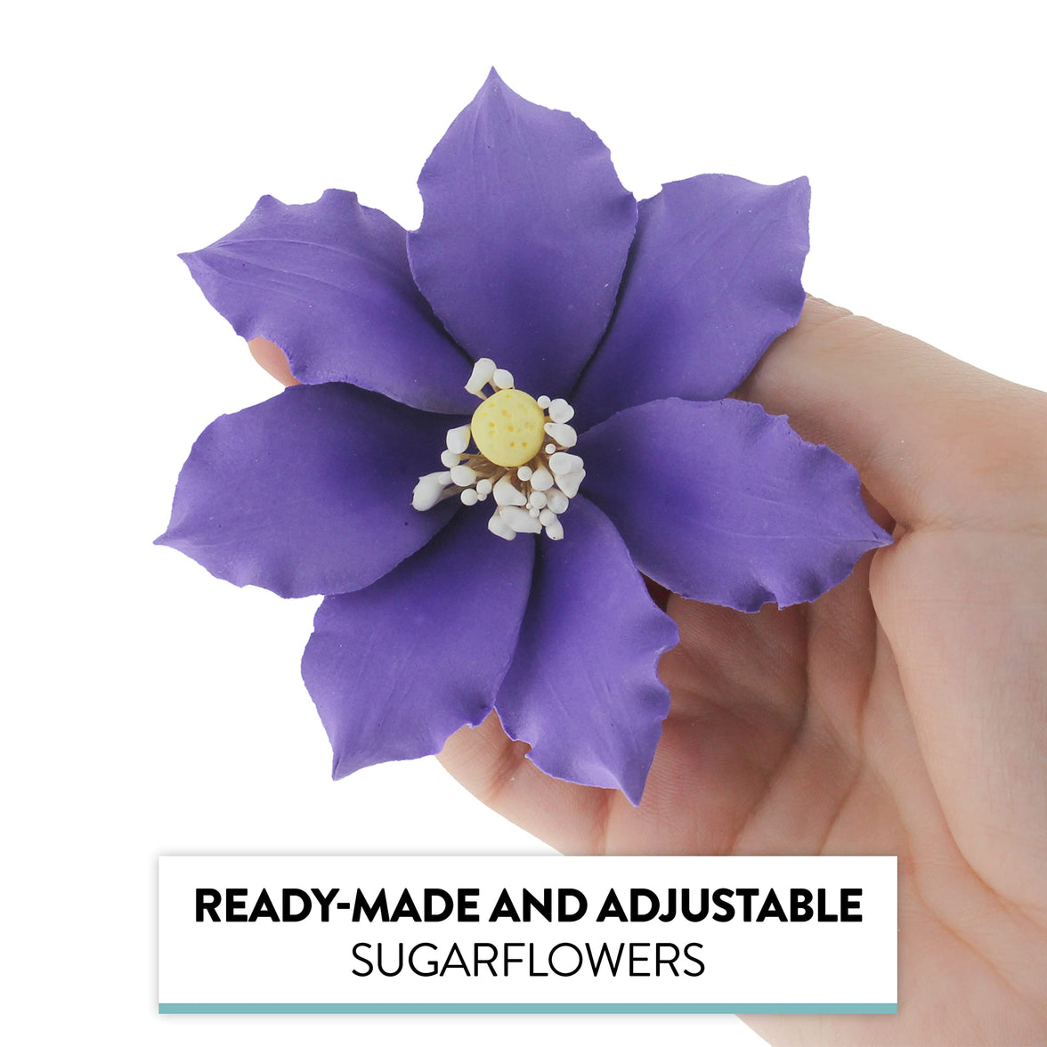 Clematis Gum Paste Sugar Cake Flowers by Global Sugar Art, Purple, 9 Count