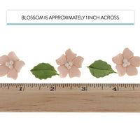 Flower Blossoms with Leaves, Edible Sugar Flowers for Cakes & Cupcakes, by Global Sugar Art, Peach