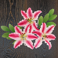 Stargazer Lily Sugar Flowers with Leaf Sprays by Global Sugar Art, Pink and White, 3 Count