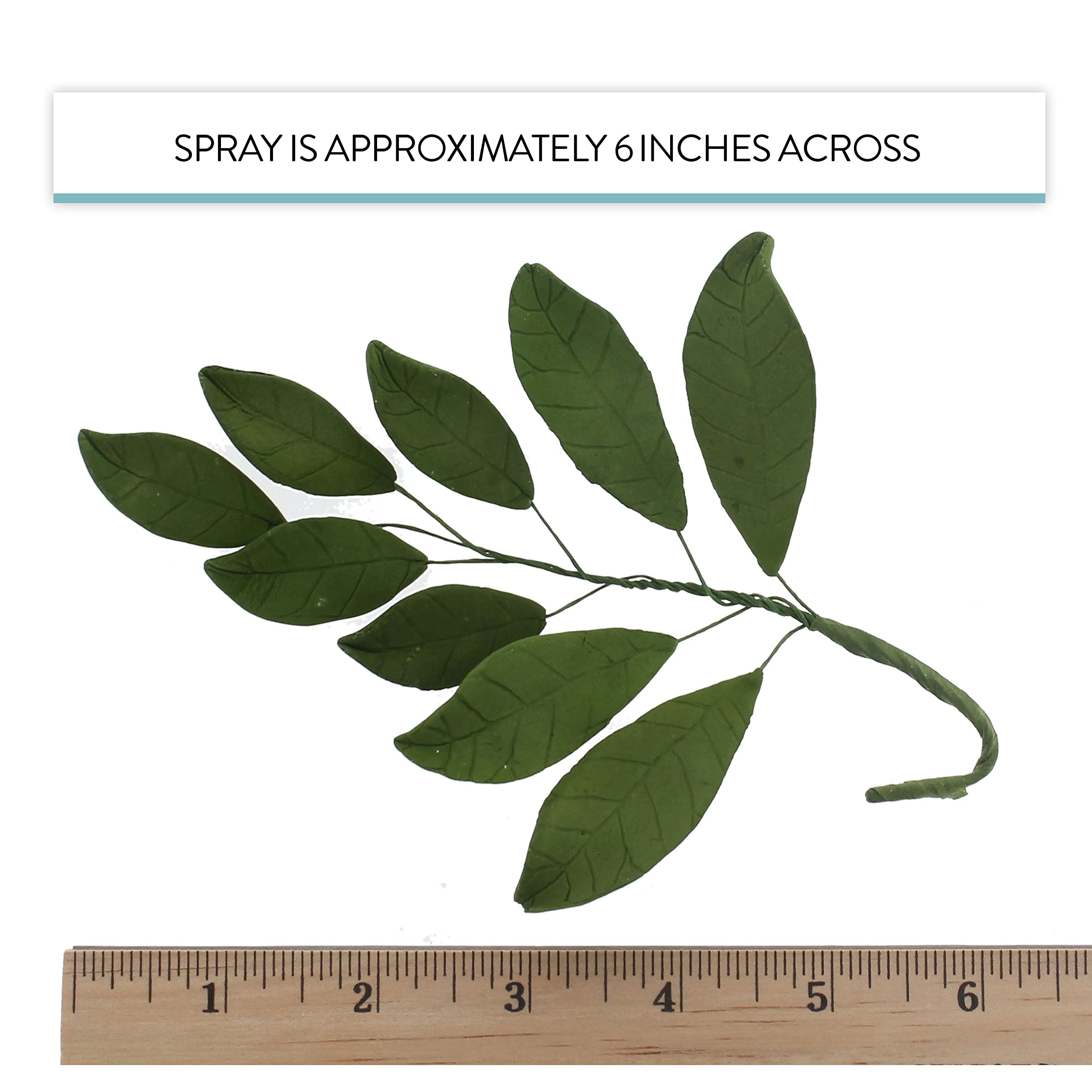 Magnolia Leaf Spray Cake Decoration by Chef Alan Tetreault, Global Sugar Art, 4 Count