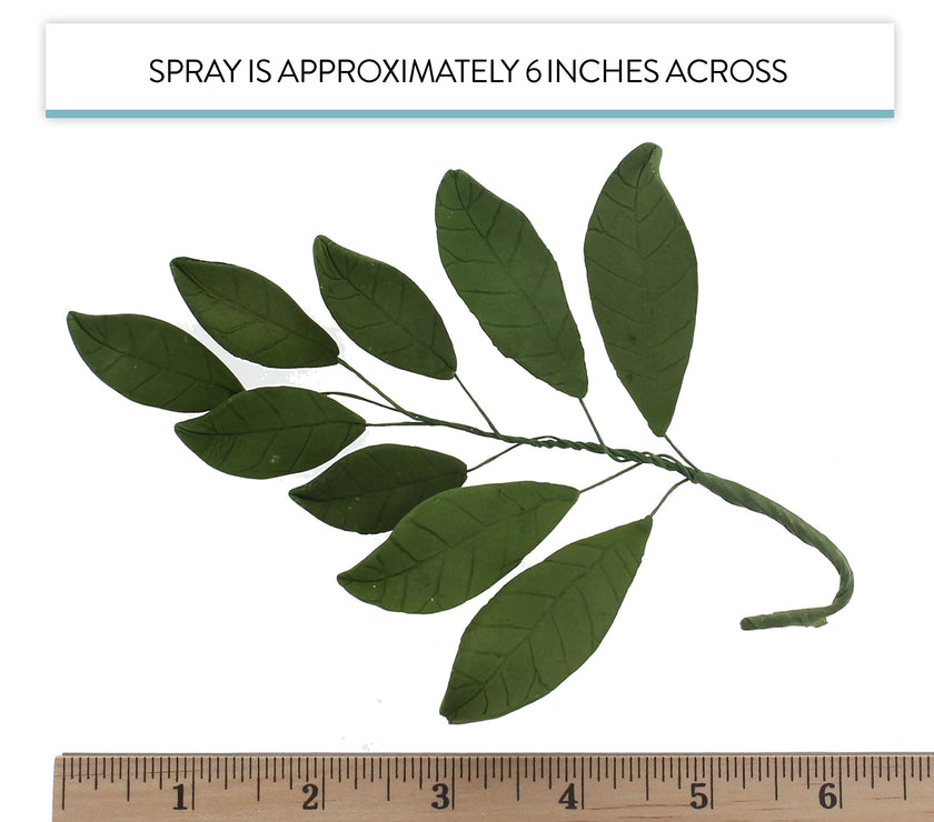 Magnolia Leaf Spray Cake Decoration by Chef Alan Tetreault, Global Sugar Art, 4 Count