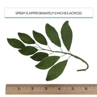 Magnolia Leaf Spray Cake Decoration by Chef Alan Tetreault, Global Sugar Art, 4 Count