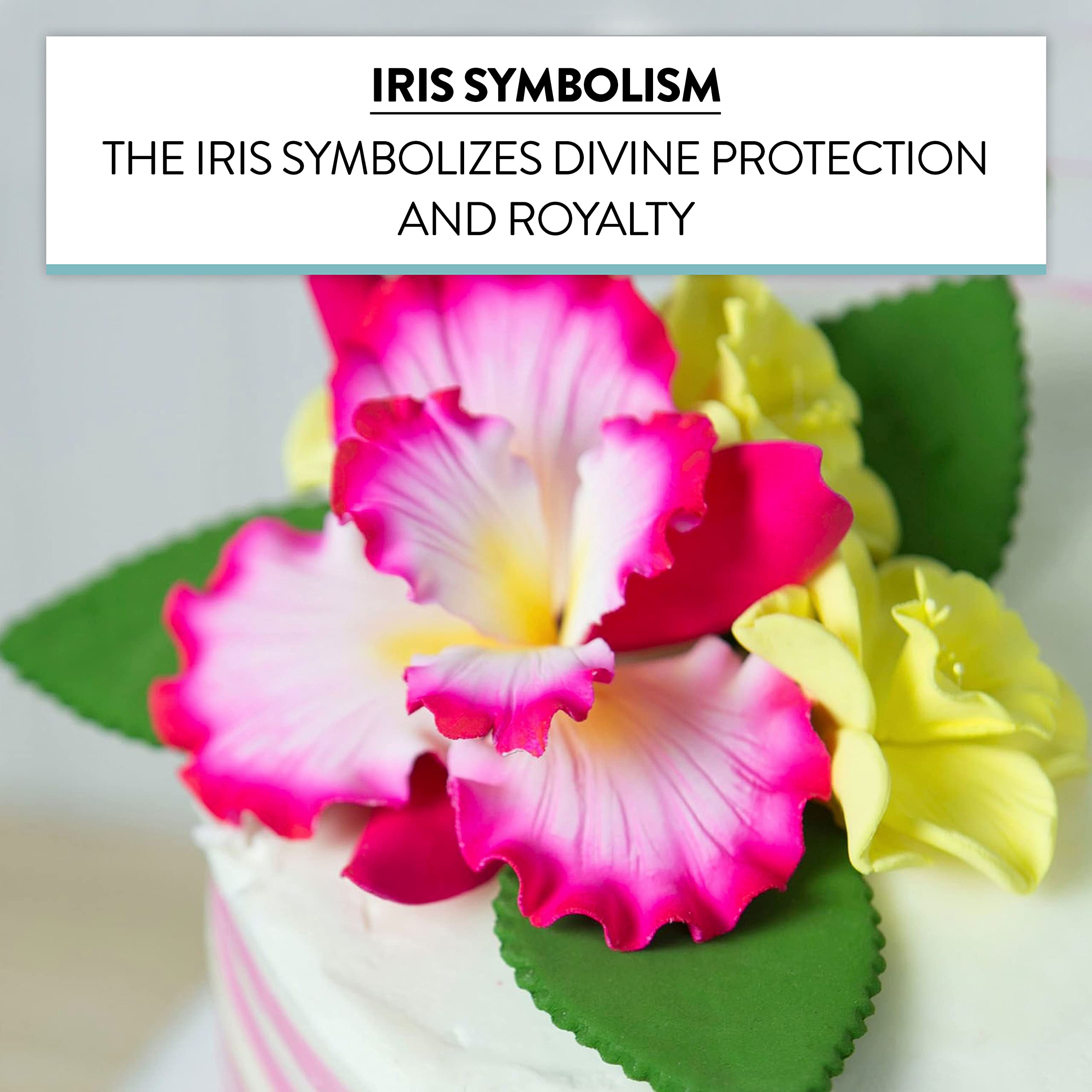 Dutch Iris Sugar Cake Flower, Cake Topper by Global Sugar Art, Pink