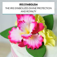 Dutch Iris Sugar Cake Flower, Cake Topper by Global Sugar Art, Pink
