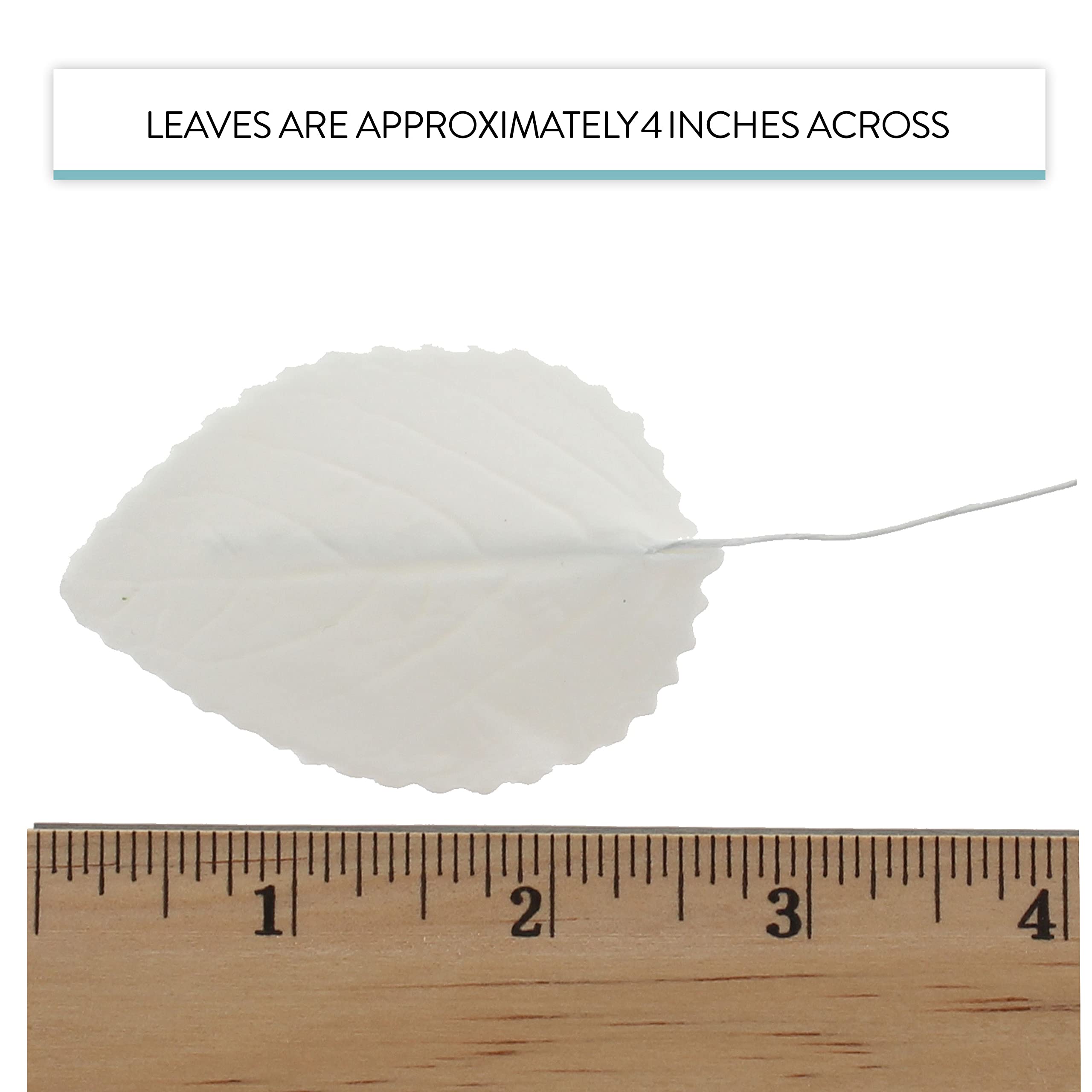 Hydrangea Leaves, Gum Paste Cake Decorations by Global Sugar Art, White, Multiple Sizes