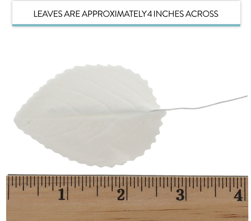 Hydrangea Leaves, Gum Paste Cake Decorations by Global Sugar Art, White, Multiple Sizes