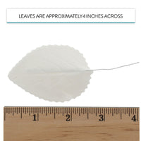 Hydrangea Leaves, Gum Paste Cake Decorations by Global Sugar Art, White, Multiple Sizes