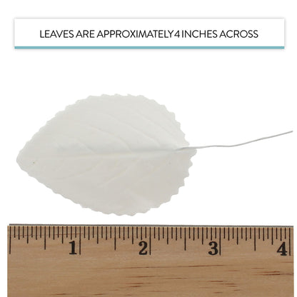 White Hydrangea Leaves