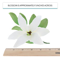 Easter Lily Sugar Flowers, Longiflorum Lilies with Leaf Sprays, by Global Sugar Art, White, 3 Count