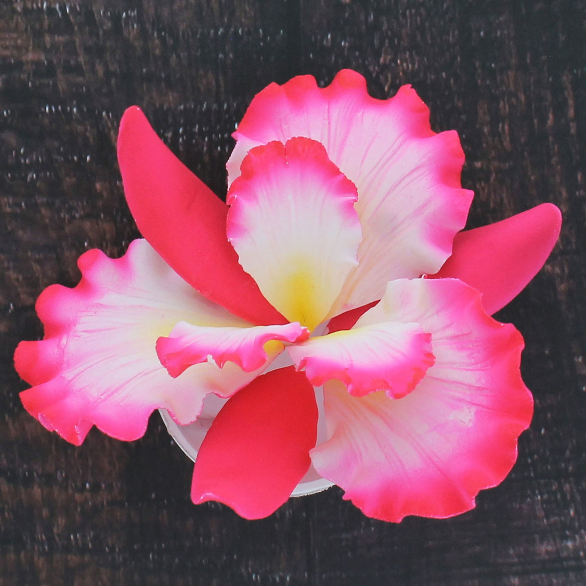 Dutch Iris Sugar Cake Flower, Cake Topper by Global Sugar Art, Pink