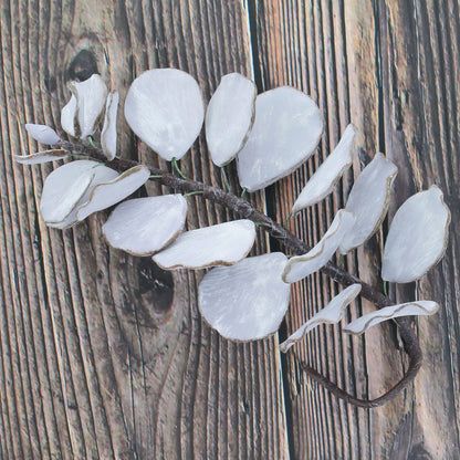 Silver Eucalyptus, 5 Count