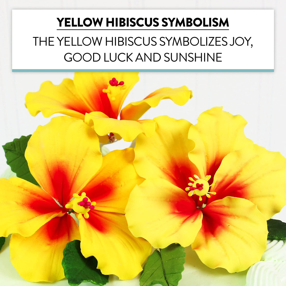 Global Sugar Art Hibiscus Sugar Cake Flowers, Yellow with Red, 3 Count with Leaves by Chef Alan Tetreault