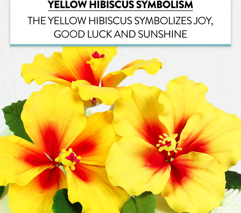 Global Sugar Art Hibiscus Sugar Cake Flowers, Yellow with Red, 3 Count with Leaves by Chef Alan Tetreault
